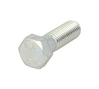 Tornillo de cabeza hexagonal S-TR M18X2,5/60-1