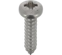 Tornillo de chapa de cabeza cilíndrica abombada Pozidrive, 4,2 mm x 19 mm, DIN 7981, Zinc Inox, juego de 20
