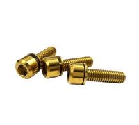 Tornillo de titanio M5 M6 M7 TC4 GR5, tornillo de cabeza hueca hexagonal con arandela, sujetador de aleación E007 (Golden color,M5x20-10 pieces)