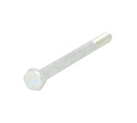 Tornillo S-TR M8X125/100-1