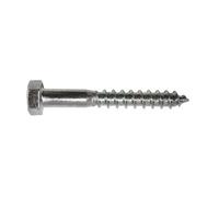 Tornillo Tirafondo Barraquero DIN 571 5x30 100 uds