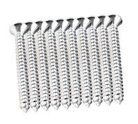 Tornillos de Metal para Placa de Mástil de Guitarra 10 Piezas