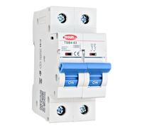 Tosun Interruptor Magnetotérmico 2P 16A, Disyuntor Bipolar Curva C 10kA, Carril DIN, Gris