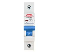 Tosun Interruptor Magnetotérmico Unipolar 1P 6A 6kA, Disyuntor TSB3-63 para Carril DIN, Blanco, 1 Módulo