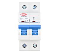 TosunLux Interruptor Magnetotérmico 2P 63A 10kA Curva C, Disyuntor Bipolar para Carril DIN, 230V