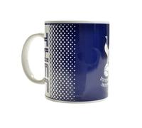 Tottenham Hotspur FC Taza Diseño Escudo Descolorido (BS4024)