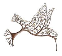 TOYANDONA Colgante de Pared Decorativo Colibrí de Hierro Ramas, Arte Mural para Jardín al Aire Libre, Decoración Artística Resistente para Paredes Exteriores, Adorno para Patio