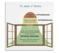 Trauma Informed Care Poster Window of Tolerance Mental Health