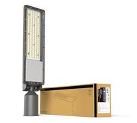 TRAXON LUXPOINT® Luminaria LED de Alumbrado Vial- Reinhold 100W 15000lm Luz Fría 5000K IP65 Ángulo 80° Aluminio, Uso Exterior, 5 Años de Garantía (Luz fría 5000K, 100 Watios)