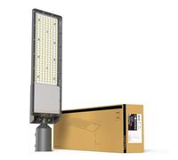 TRAXON LUXPOINT® Luminaria LED de Alumbrado Vial- Reinhold 120W 18000lm Luz Neutra 4000K IP65 Ángulo 80° Aluminio, Uso Exterior, 5 Años de Garantía (Luz neutra 4000K, 120 Watios)