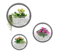 Treeisland Macetero colgante, 3 unidades macetas colgantes para pared, maceta redonda para montaje en pared para plantas artificiales, plantas de aire