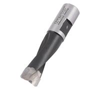 Trend Fresa Domino 10 mm TCT para Festool DF500, ranurado