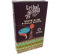 Tribal Soul Conos de Incienso Riflusso Backflow - Paquete de 10 conos (Palo Santo y Salvia Blanca)