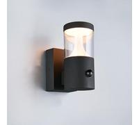 TRIO 230561142 MACKENZIE: Lámpara de pared exterior, tecnología SMD LED, 8W, 800 lúmenes, 3000K, IP54, color antracita