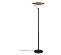 TRIO 230561142 MACKENZIE: Lámpara de pared exterior, tecnología SMD LED, 8W, 800 lúmenes, 3000K, IP54, color antracita