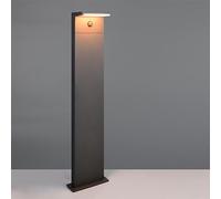 TRIO 230561142 MACKENZIE: Lámpara de pared exterior, tecnología SMD LED, 8W, 800 lúmenes, 3000K, IP54, color antracita
