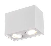 Trio Leuchten Biscuit 613000231 - Lámpara de techo (metal, 2 bombillas GU10), color blanco mate