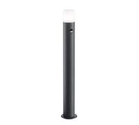 Trio-Leuchten Lámpara de pared de exterior Hoosic Gris antracita/blanco