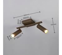 Trio Lighting Downlight Dara, longitud 28 cm, color platino, metal, 2 luces.