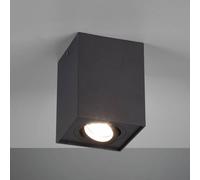 Trio Lighting Lámpara de techo Biscuit, 1 luz, negro
