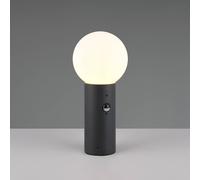 Trio Lighting Lámpara sobremuro Mures, antracita, altura 40 cm, metal, sensor
