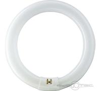 Philips Tubo fluorescente circular 32W Ø30 cm Trifósforo 840 Luz día