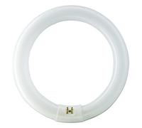Philips Tubo fluorescente circular Master TL‑E G10q 32W Ø30 cm 865K luz fría trifósforo