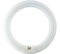 TUBO FLUORESCENTE CIRCULAR 40W Ø40cm TRIFOSFORO 865K LUZ FRIA PHILIPS
