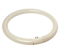 Tubo fluorescente circular T9 40W G10q 6400K
