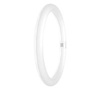 LEDVANCE Tubo LED T9 Value circular (EM/Mains) 18.3 W 2200 lm - 865 Luz del día | Sustitutiva 32 W