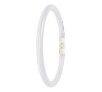 Tubo LED T5 FC 22 EXTERNO 11,6 W 865 2GX13 4099854300844