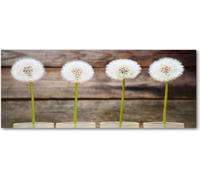 Tulup® - Cuadro sobre lienzo - 125x50 cm - Arte para la pared - Impresiones sobre lienzo - Impresión en lienzo - Flores y plantas - Marrón - Dientes de león