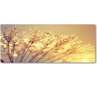 Tulup® - Cuadro sobre lienzo - 125x50 cm - Arte para la pared - Impresiones sobre lienzo - Impresión en lienzo - Flores y plantas - Beige - Diente de león