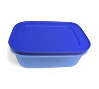 Tupperware Sistema de nevera de cristal de hielo para congelar, contenedor compacto, sistema modular de refrigerador, 450 ml, color azul