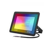 Tuya - Foco LED inteligente WiFi de 30 W, 50 W, 100 W, cambio de color, luz LED IP66 RGB, luz blanca cálida y fría, control de vioce