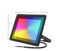 Tuya - Foco LED inteligente WiFi de 30 W, 50 W, 100 W, cambio de color, luz LED IP66 RGB, luz blanca cálida y fría, control de vioce