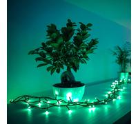 Guirnalda de luces conectadas TWINKLY 250 Leds RGB 20m para árbol de Navidad multicolor