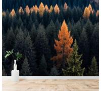 Tzxztt Verde Anaranjado Pino Otoño Bosque Paisaje Natural Papel Pintado 3D Seda Texturizada Primera Calidad Neutros Material Ideal Para SalóN Dormitorio-250cm×170cm
