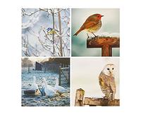 UK Greetings Multipack de 16 tarjetas de Navidad para él/ella/amigo, 4 diseños fotográficos de pájaros