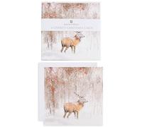 UK Greetings Paquete de 6 tarjetas de Navidad con diseño de ciervo del bosque de invierno, múltiples organizaciones benéficas