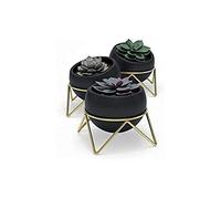 Umbra Potsy Macetas decorativas, juego de 3, Cerámica de gres, Negro/Dorado