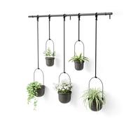 Umbra Triflora Juego de 5 maceteros Colgantes, Negro