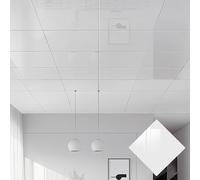Unikicool Azulejos del Techo,Paneles De Techo Autoadhesivos De PVC,Panel Decorativo Pared y Techos,Grosor 2 mm,Fácil de Limpiar,para Cubrir Grietas y Manchas en Baños,Dormitorios,Oficinas