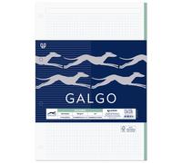 Unipapel - hojas cuadriculadas a4 perforadas galgo 100g, recambio 100