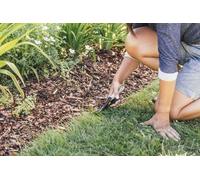 Unyqoos® Tijeras de bordes sólidos Fiskars GS21 – Tijeras para bordes de césped y setos, 31 cm, 350 g, color /naranja, mangos antideslizantes con revestimiento Soft-Touch, material: acero de alta cali