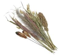 UPKOCH Manojo de Pampas Secas y Flores Artificiales de Sorgo y Caña para Decoración de Jarrón en Sala de Estar Estilo Rústico y Casa de Campo