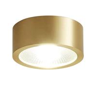 USMCPQVXN Luminaria de Techo de Montaje en Superficie Led de 1 Pulgada Y 3 Cct, Moldura de Latón Dorado, 3000 K/4000 K/6000 K Seleccionable, Foco Led de 3 W, 5 W, 7 W, 9 W, Foco Led Dorado/4000K/3W