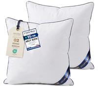 Utopia Bedding Cojines Sofa con Relleno Incluido 60x60 cm Pack de 2 Blanco
