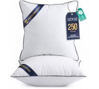 Utopia Bedding Relleno cojín Cojínes para Cama, Cojines Decorativos para sofá (2, Blanco, Unidad de 2 | 30x30 cm)