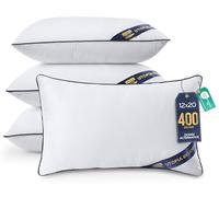 Utopia Bedding Relleno cojín Cojínes para Cama, Cojines Decorativos para sofá (4, Blanco, Unidad de 4 | 30x50 cm)